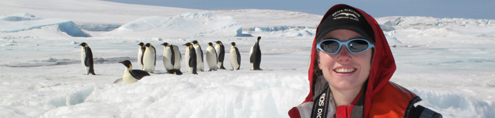 Polar researcher Heather Lynch with emperor penquins